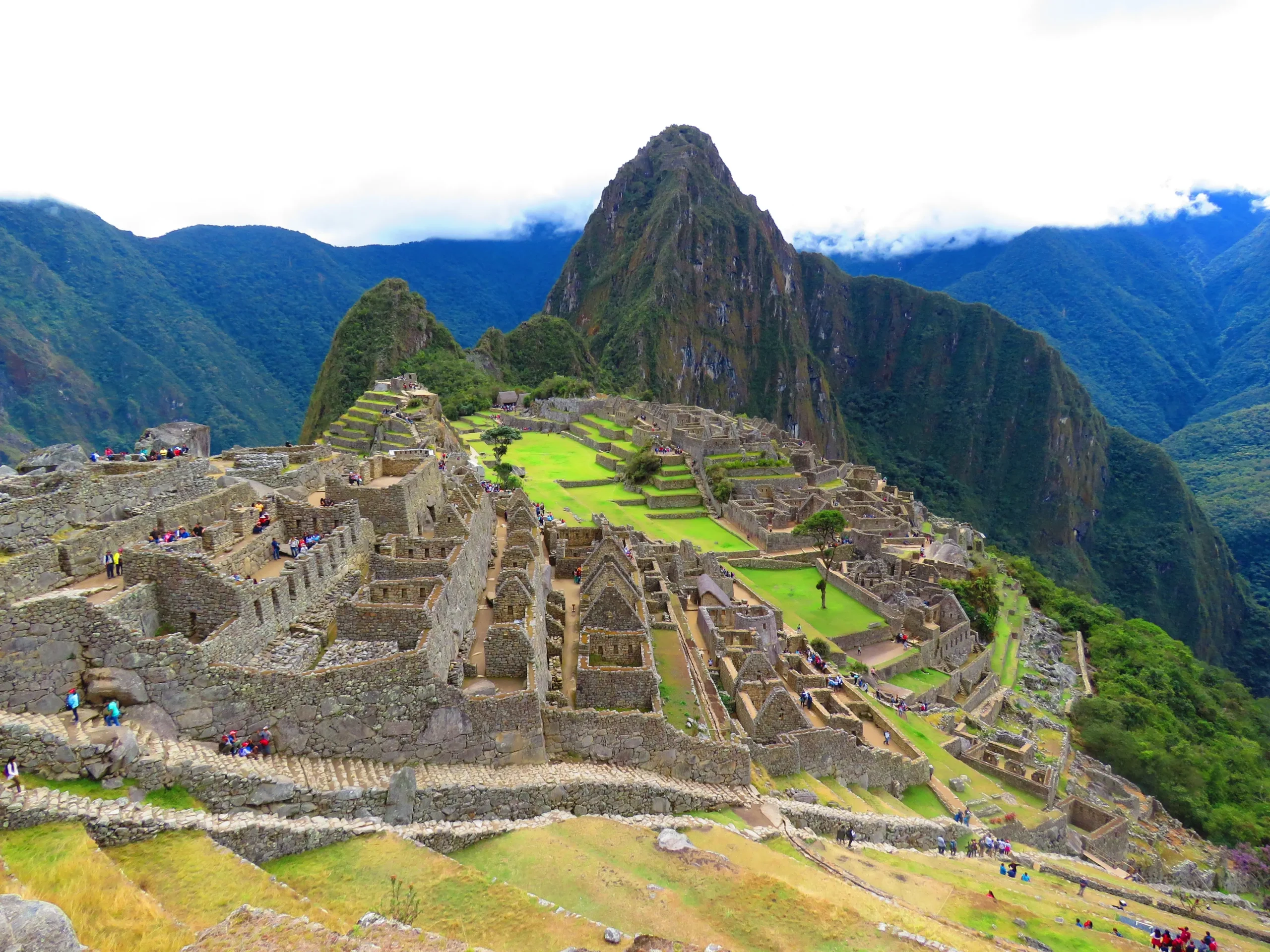 ZopED Peru